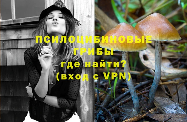 прущие крисы Кулебаки