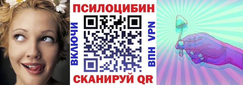 закладки  Фатеж  Псилоцибиновые грибы GOLDEN TEACHER 