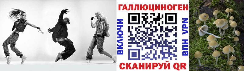 Галлюциногенные грибы Psilocybe Фатеж
