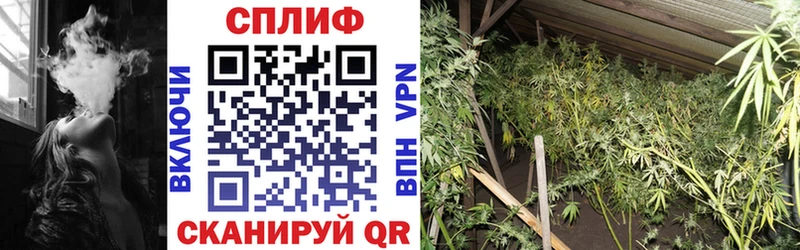 где можно купить наркотик  Фатеж  Канабис гибрид 